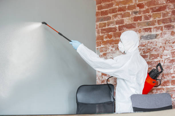 Professional Mold Removal in West Allis, WI
