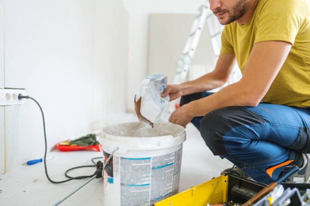 Trusted West Allis, WI Mold Removal Experts